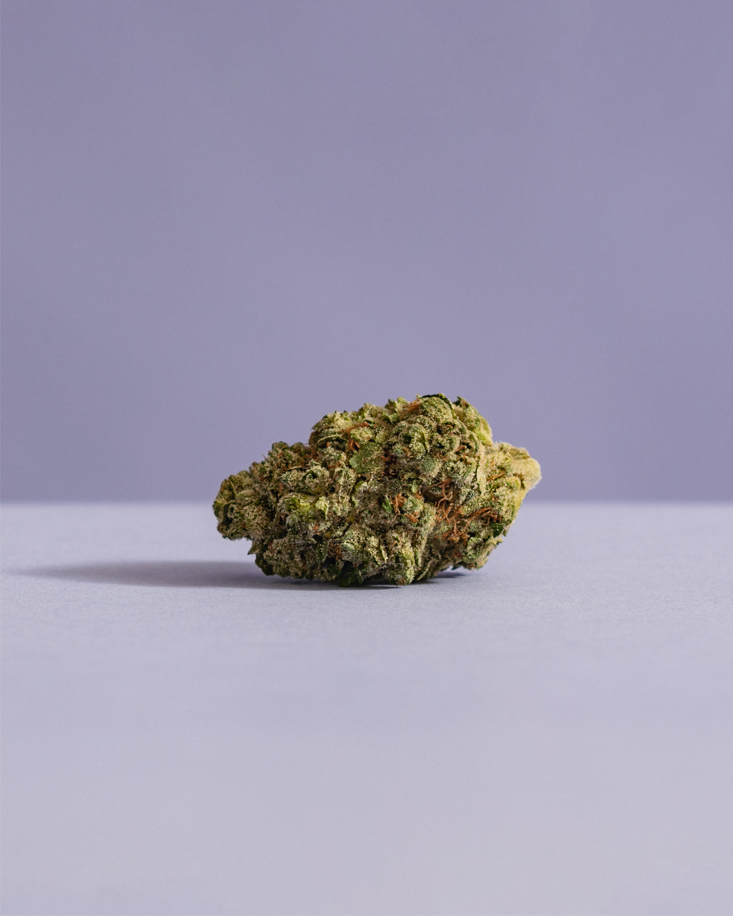 Top Ten Must-Try Dried Flower Cannabis