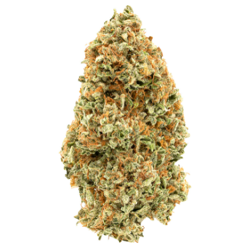 Organic Super Lemon Haze 14g